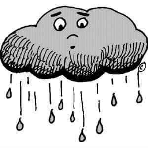 Wet Grounds force Cancellation