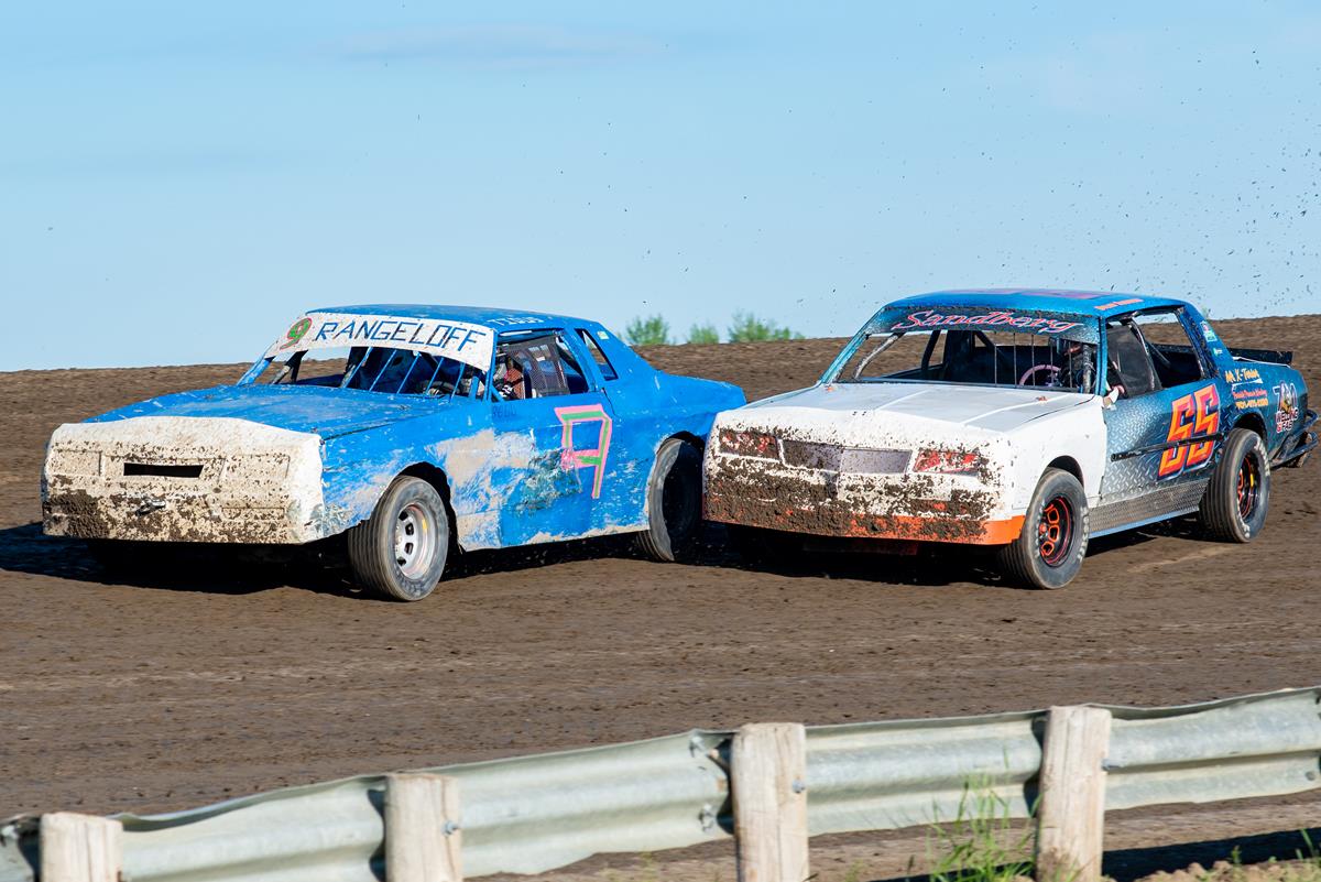 CAUTIONS PLAGUE HOBBY STOCK FEATURE