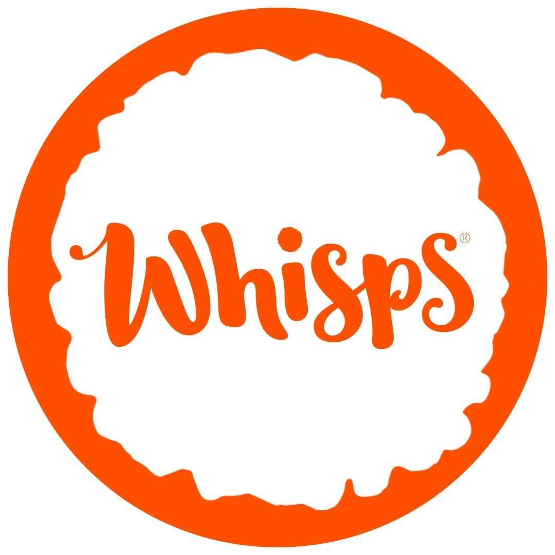 Brian Brown Racing Teams Up With Whisps for NASCAR Truck Series Race and Sprint Car Season