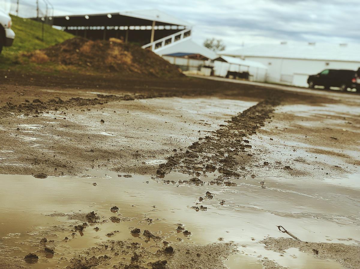 ILLINOIS SPEED WEEK SHOW AT JACKSONVILLE POSTPONDED DUE TO RAIN