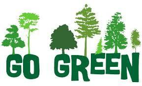 Rapid Speedway is Going Green in 2014!!