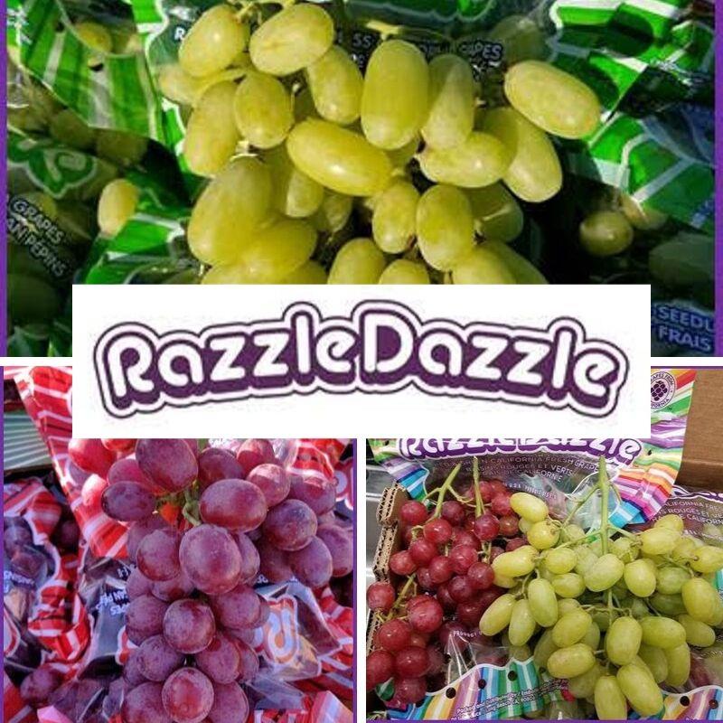 Mason Daniel Welcomes Razzle Dazzle to Team as 2020 Season Approaches