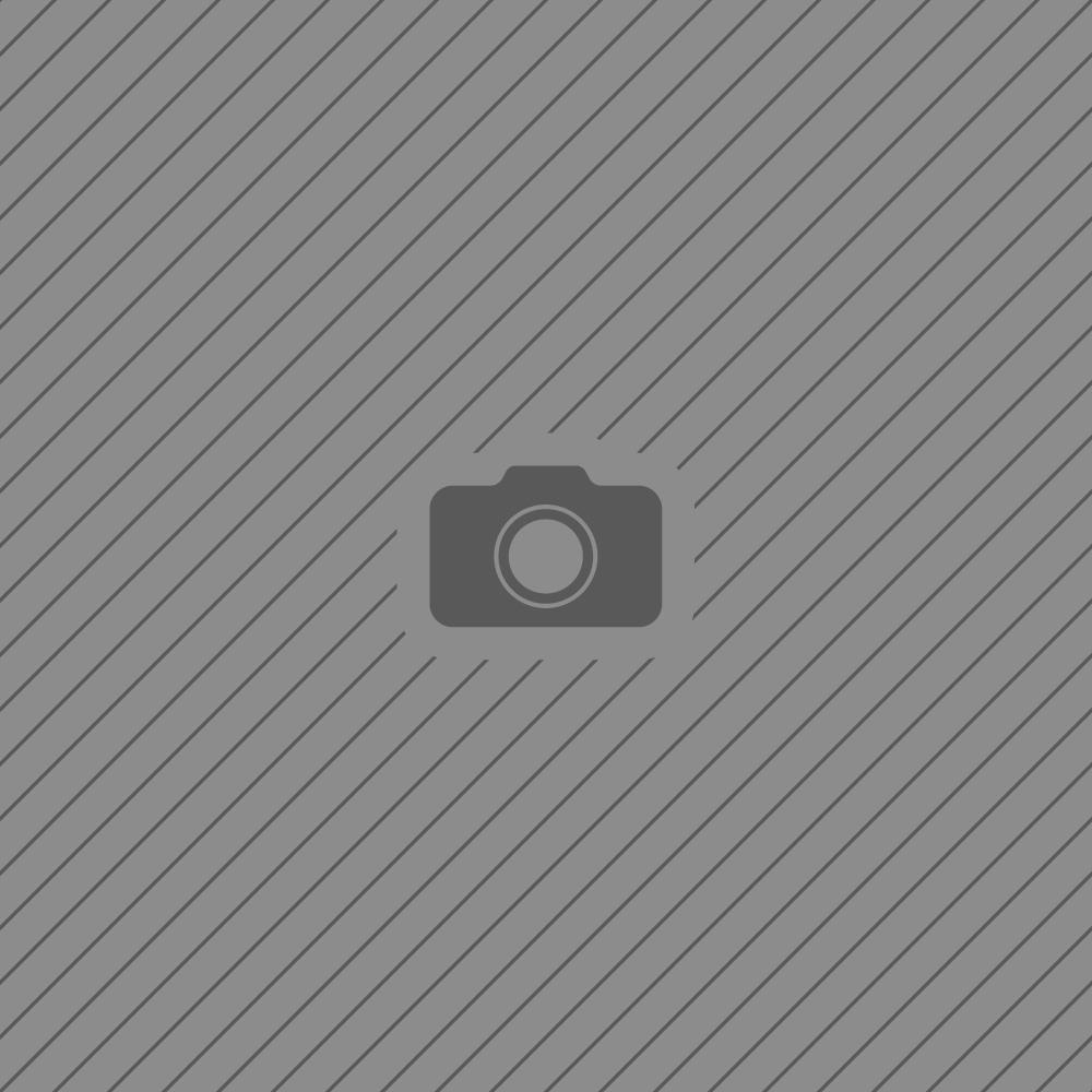 2025 Season Photos.