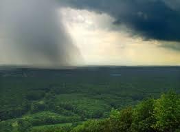 Weekend a wash out for Sherm Nation