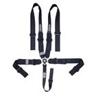 Ultra Shield ARMOR 5-Pt 3 Hans Pull Down Camlock