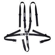 Ultra Shield ARMOR 5-Pt True 2" Pull Up Camlock