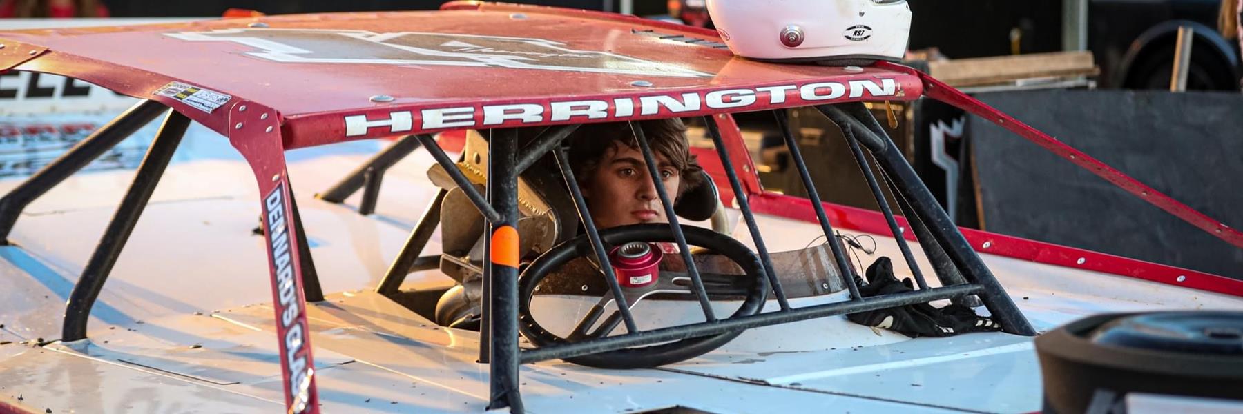 Wil Herrington