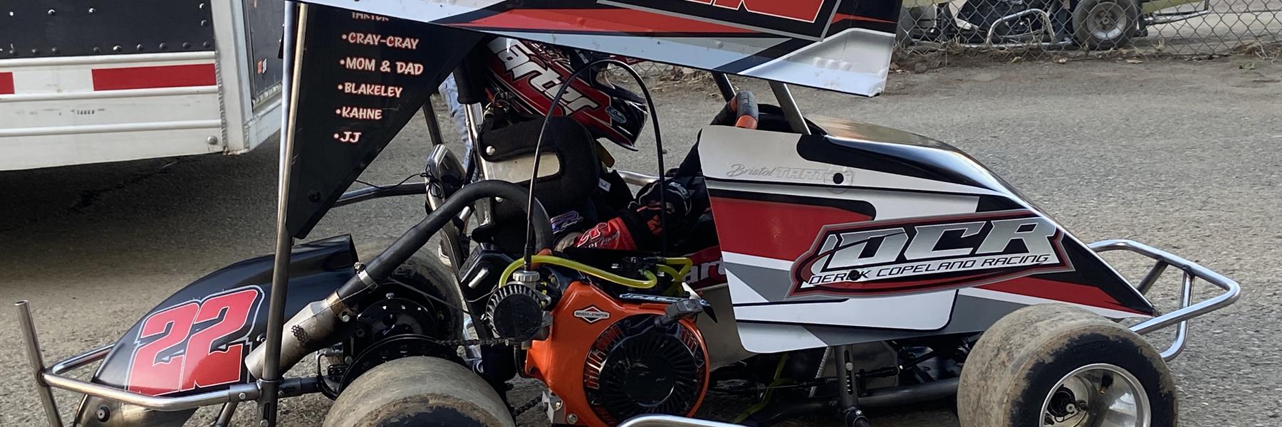 Bristol Tarter