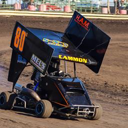 Ted Cammon