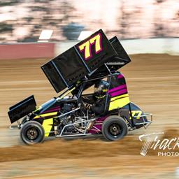 Andy Stegall