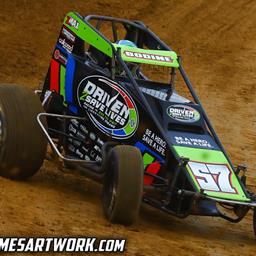 Cole Bodine