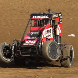 Zach Wigal