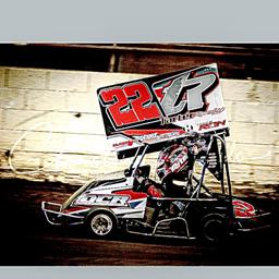 Bristol Tarter