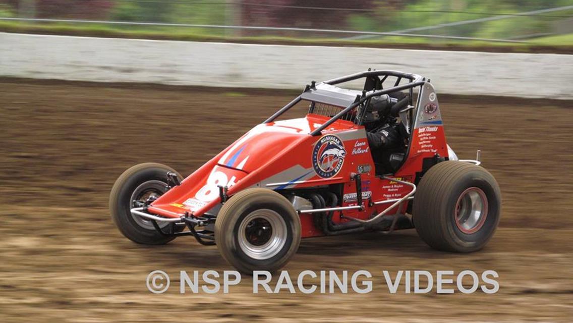 Lance Hallmark Obtains Willamette Wingless Win