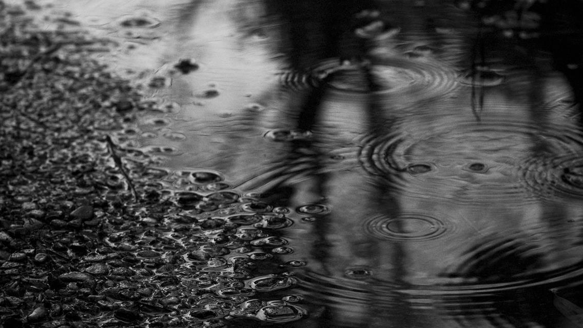 Rainy Day