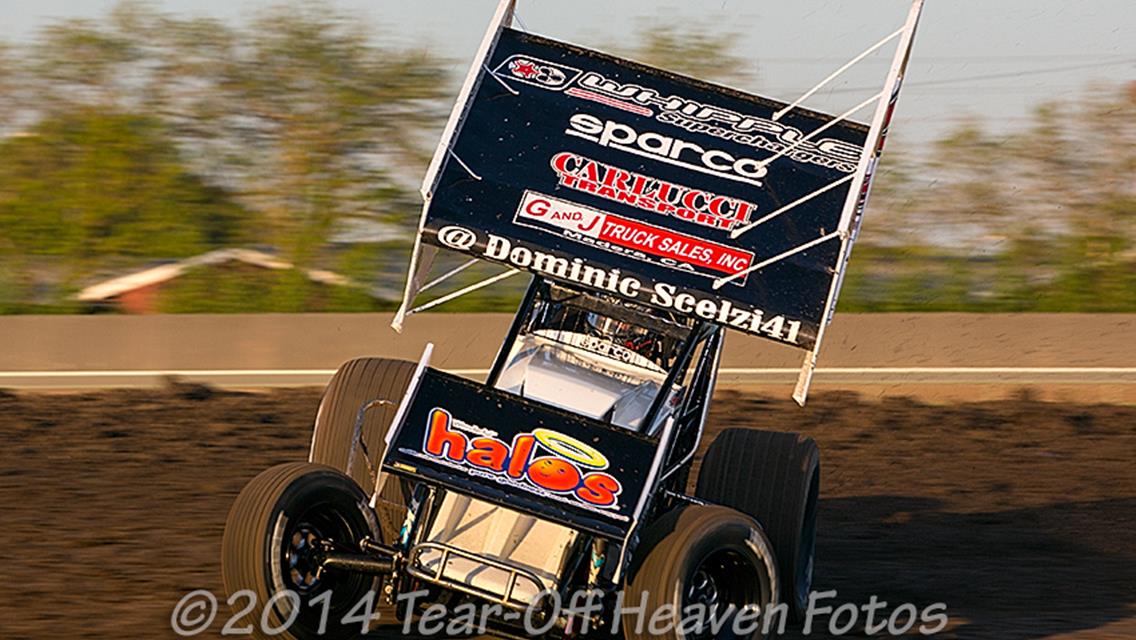 Scelzi Seeking Fresh Start Entering 21st annual Trophy Cup This Weekend