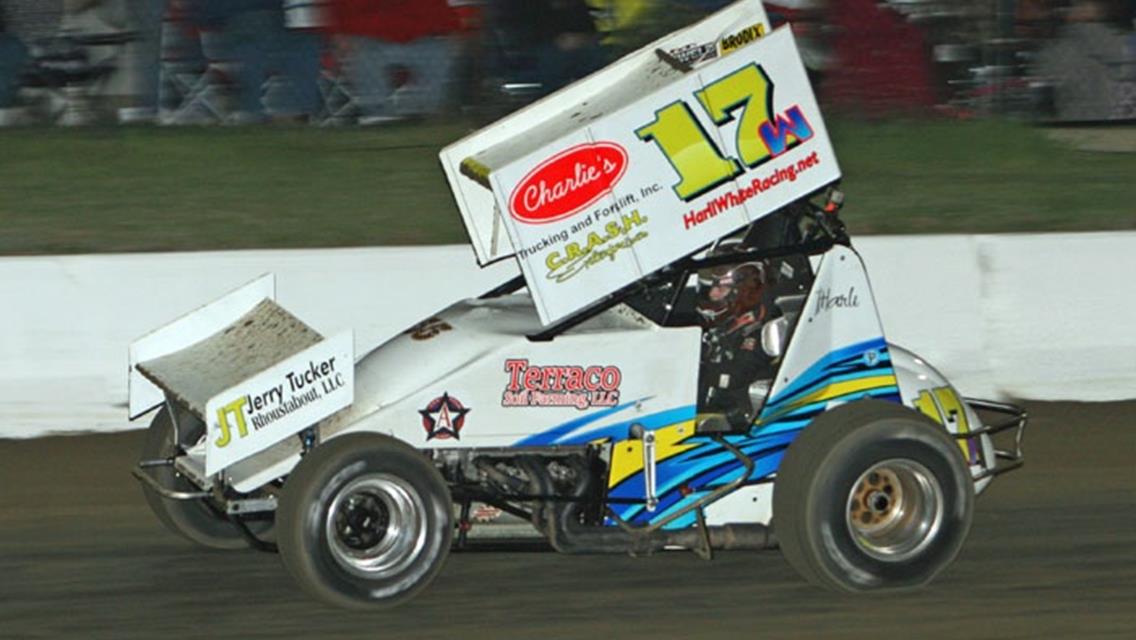 HARLI WHITE DOES IT AGAIN!