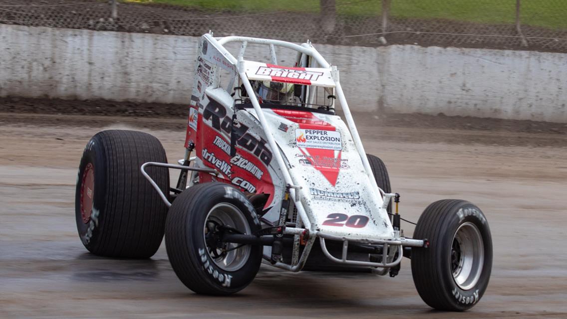 Breaking Down The Top Ten: The Champion, Alex Bright