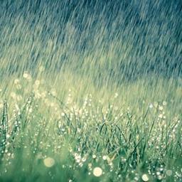 Inclement Weather Forces Cancellation of 7/23 Race