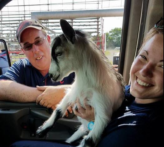 Stock Cars, Modifieds, Power Wheels and a Goat!