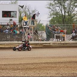 Gray Just shy at Bloomington