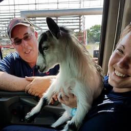 Stock Cars, Modifieds, Power Wheels and a Goat!